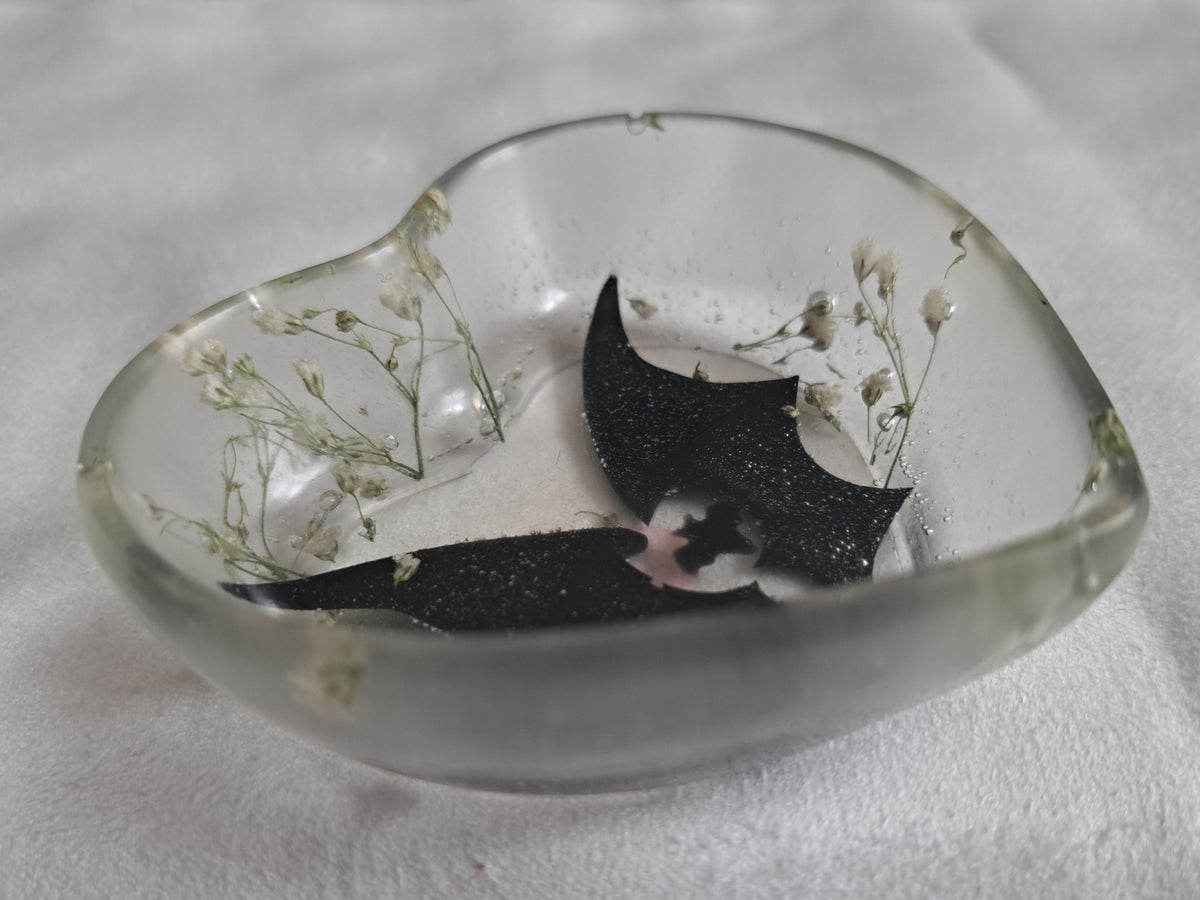 Kleine Schale Fledermaus